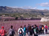  February and March: Guided routes, river descents and guided visits to La Floración