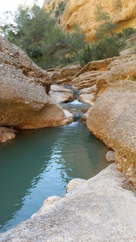 The source of the River Chícamo, a 3-kilometre walk in Abanilla
