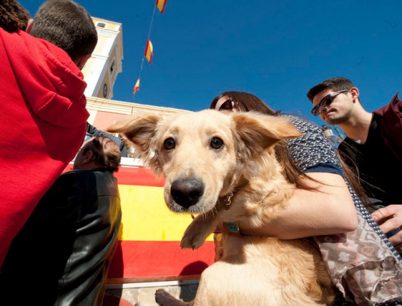 San Antón in the Murcia Region on 17th January