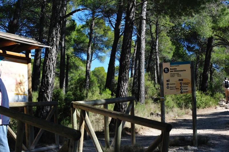 The PR-MU 41 walking route in Sierra Espuña, the Senda de los Siete Hermanos