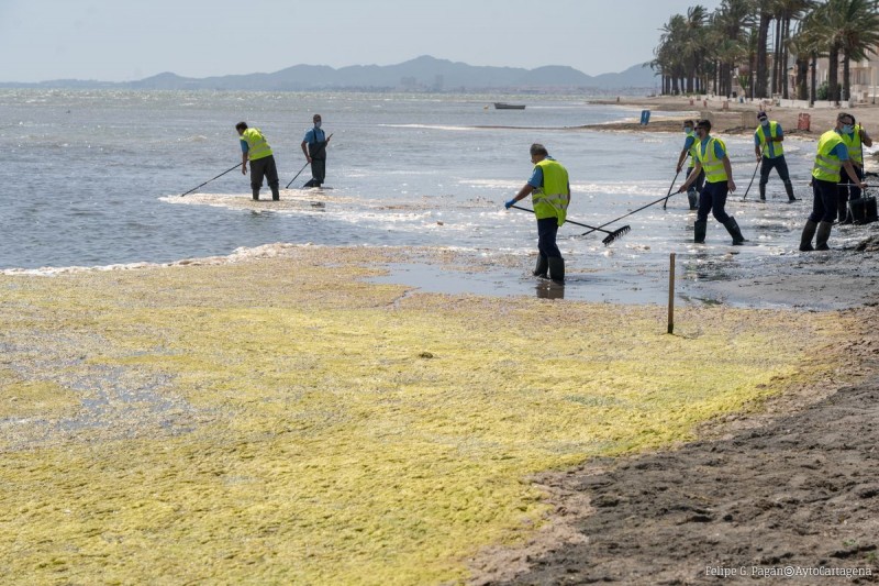 <span style='color:#780948'>ARCHIVED</span> - UN to investigate the deterioration of the Mar Menor this June