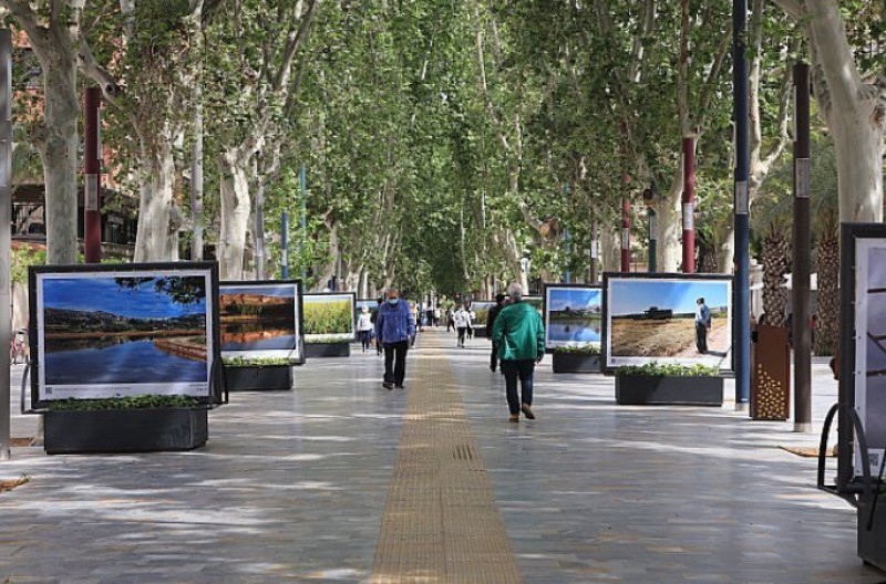 <span style='color:#780948'>ARCHIVED</span> - Open-air Calasparra rice fields photo exhibition in the centre of Murcia: Entre arrozales