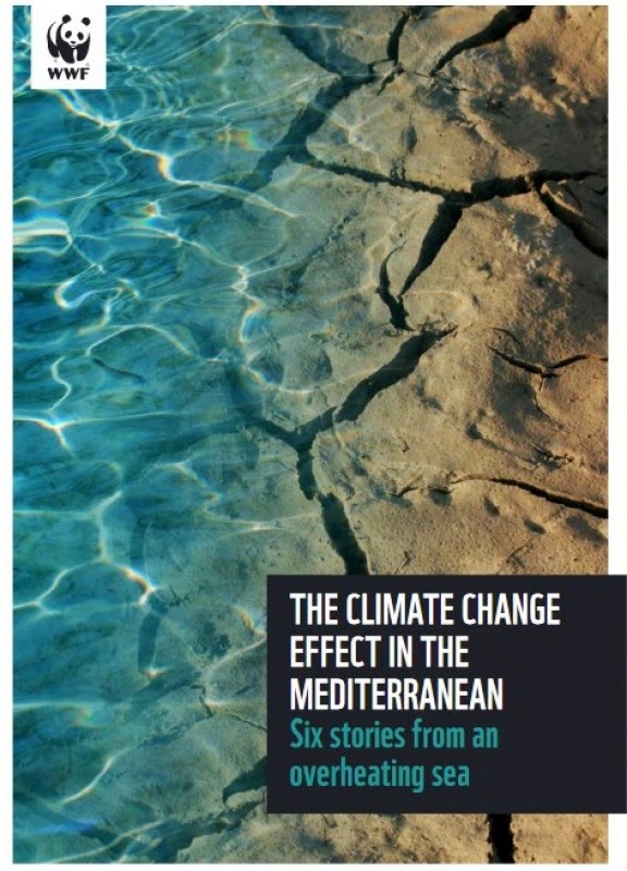 <span style='color:#780948'>ARCHIVED</span> - Mediterranean under threat due to overheating says WWF