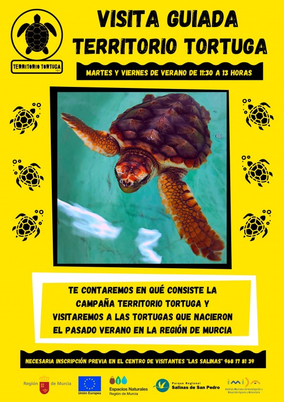 <span style='color:#780948'>ARCHIVED</span> - Free turtle tours running in San Pedro del Pinatar on Tuesdays and Fridays this summer