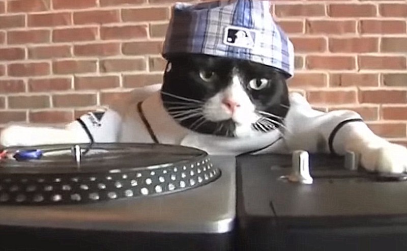 <span style='color:#780948'>ARCHIVED</span> - Feline DJ upsets residents of Lugo with loud music