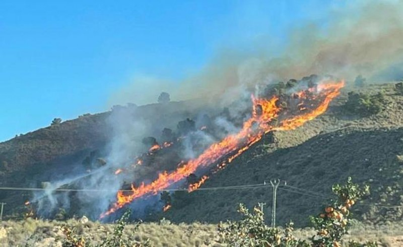 <span style='color:#780948'>ARCHIVED</span> - Forest fires scorch twice as much forest land in Murcia as in 2020