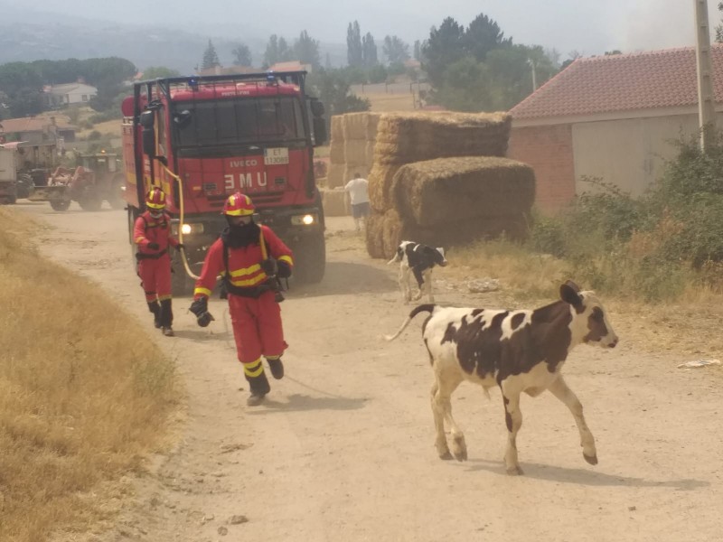 <span style='color:#780948'>ARCHIVED</span> - 1,000 evacuated from their homes as Ávila wildfire affects 10,000 hectares