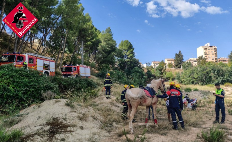 <span style='color:#780948'>ARCHIVED</span> - Horse rescued by firefighters after fall with rider in Alcoy