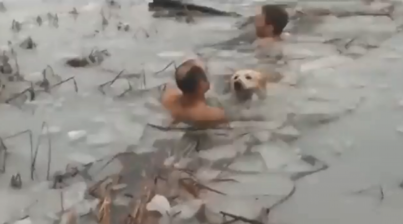 <span style='color:#780948'>ARCHIVED</span> - Video: Heroic officers save dog from frozen lake in Huesca
