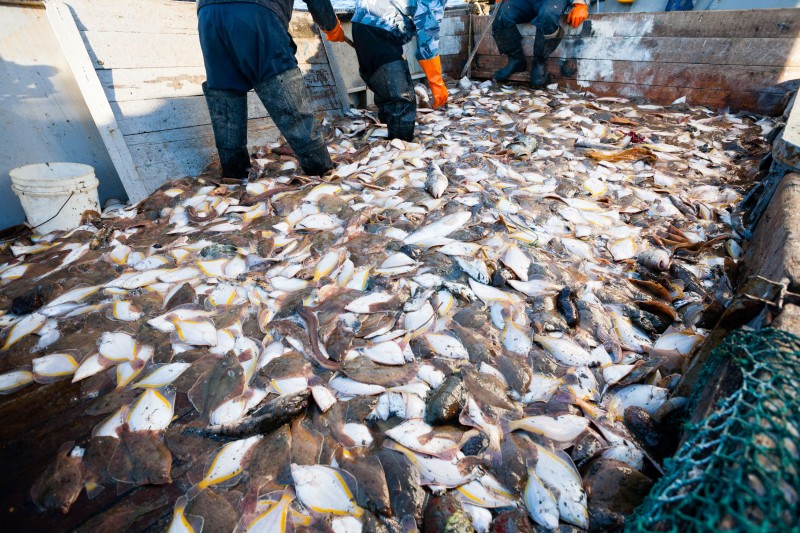 <span style='color:#780948'>ARCHIVED</span> - Spain has its own fishing row with EU