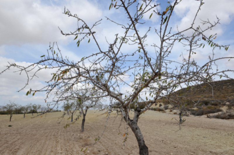 <span style='color:#780948'>ARCHIVED</span> - Spanish reservoir crisis: water restrictions are inevitable if the drought continues