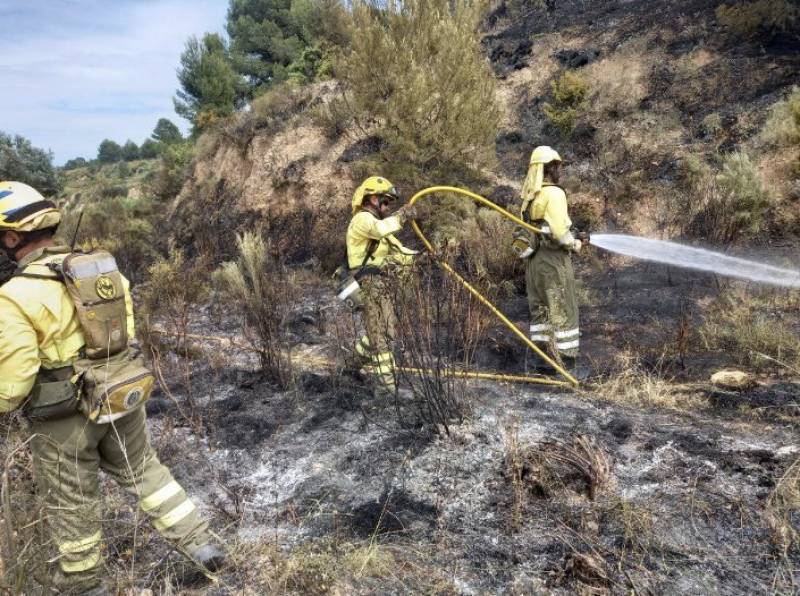 <span style='color:#780948'>ARCHIVED</span> - First forest fire of the year ravages 8,500m2 in Murcia