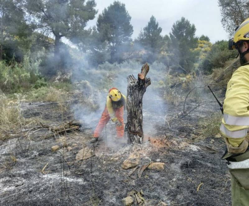 <span style='color:#780948'>ARCHIVED</span> - First forest fire of the year ravages 8,500m2 in Murcia