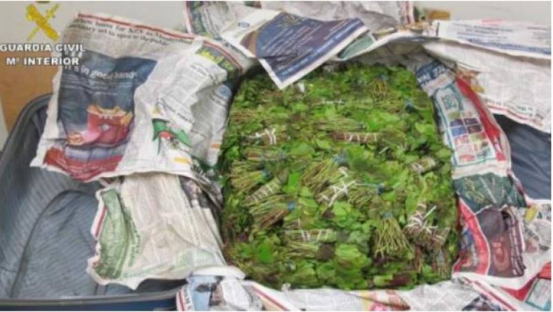 <span style='color:#780948'>ARCHIVED</span> - Former Spanish consul of Finland arrested over Europe’s largest khat narcotics seizure