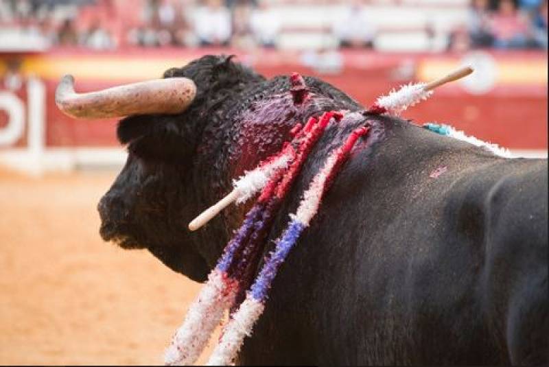 <span style='color:#780948'>ARCHIVED</span> - Several people gored in controversial Spanish bull run