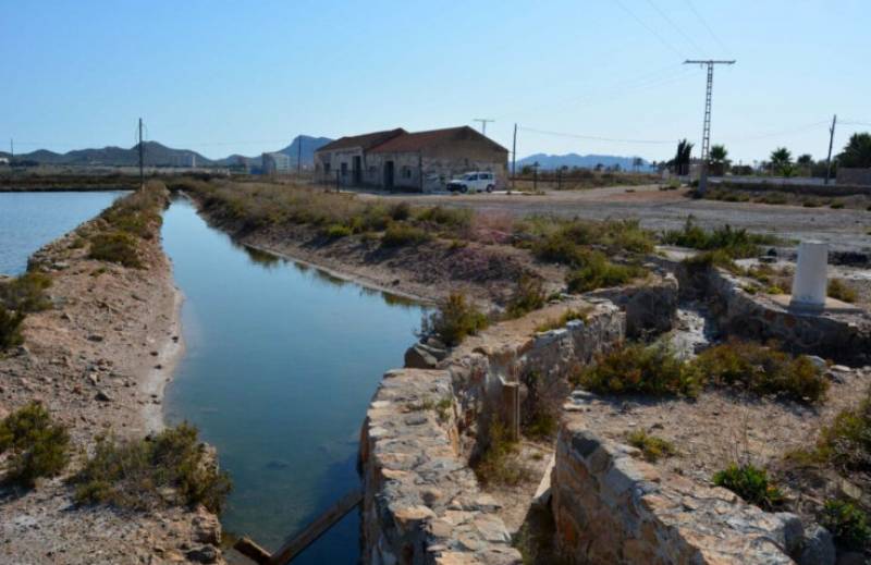 <span style='color:#780948'>ARCHIVED</span> - ANSE receives backing to re-open salt production in the Mar Menor flats of Marchamalo