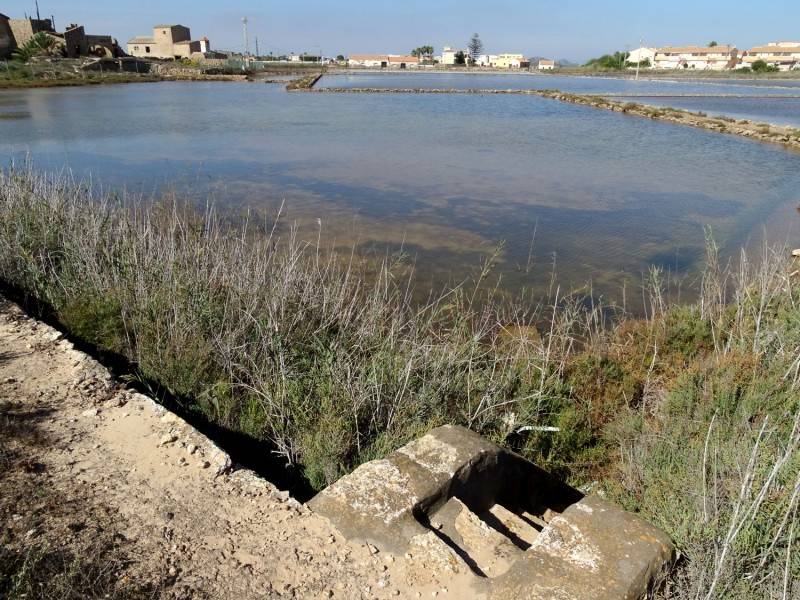 <span style='color:#780948'>ARCHIVED</span> - ANSE receives backing to re-open salt production in the Mar Menor flats of Marchamalo