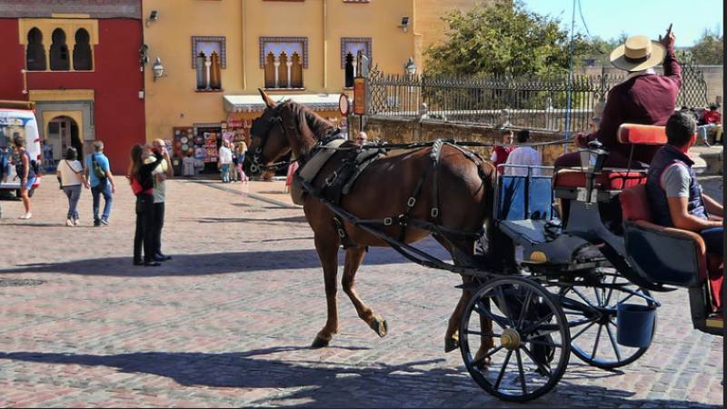 <span style='color:#780948'>ARCHIVED</span> - Palma de Mallorca to ban horse-drawn carriages from 2024