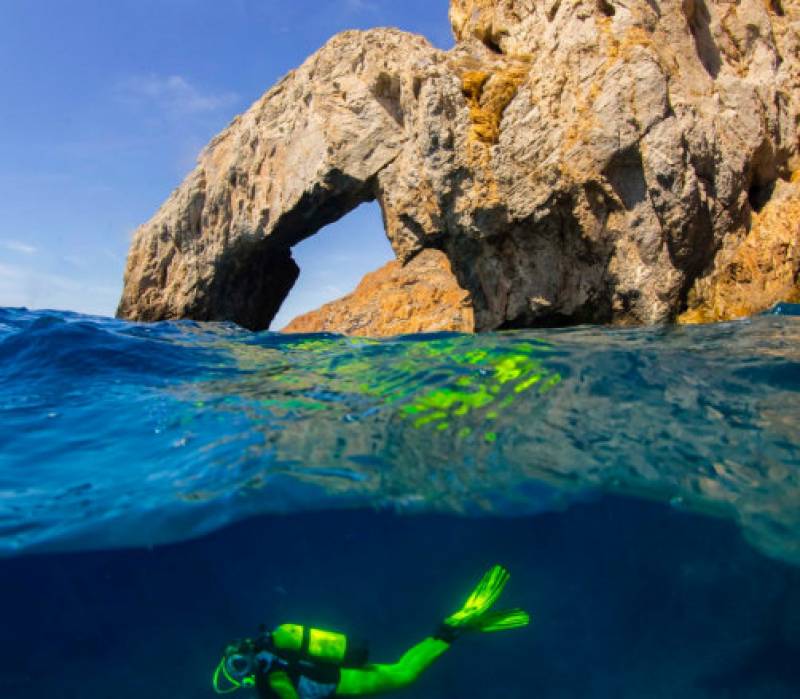 Diving off the coast of Cartagena and La Azohía and in the marine reserve of Cabo Tiñoso