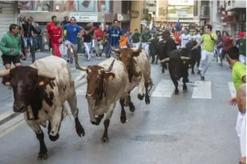 <span style='color:#780948'>ARCHIVED</span> - Elderly French woman killed in Costa Blanca bull run