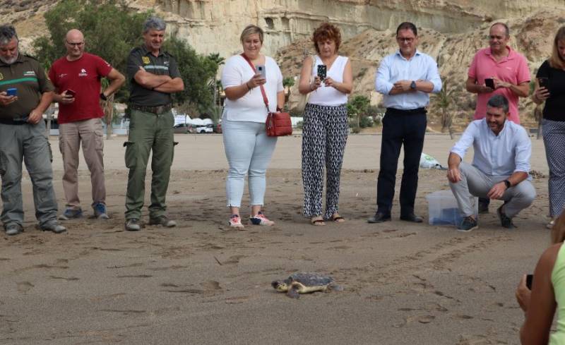 <span style='color:#780948'>ARCHIVED</span> - Rescued loggerhead turtle set free in Bolnuevo