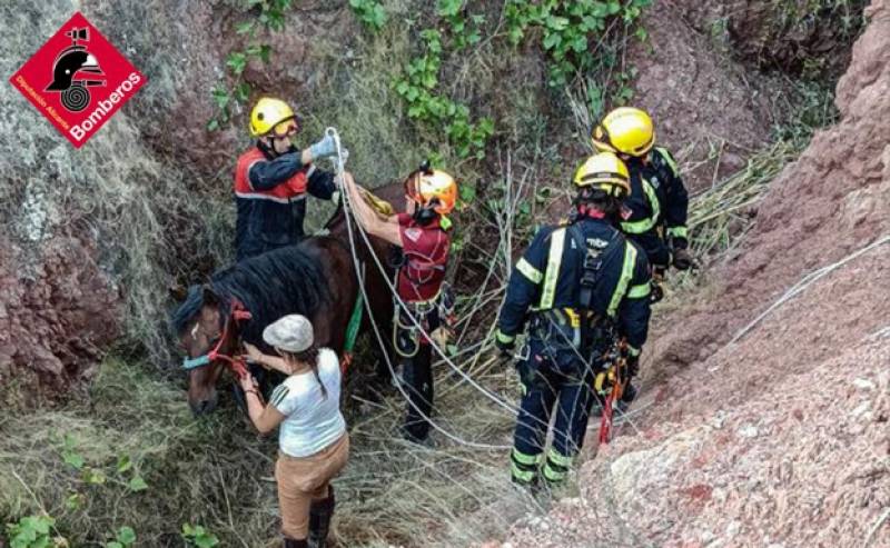 <span style='color:#780948'>ARCHIVED</span> - Horse helicoptered to safety after becoming trapped in Costa Blanca ravine
