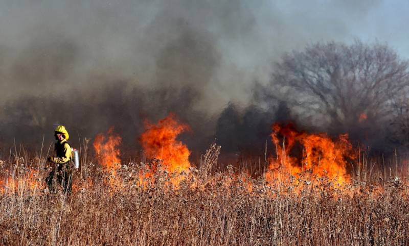 <span style='color:#780948'>ARCHIVED</span> - Spain loses a hero: Man who went viral for bravely battling Zamora forest fire dies from his injuries