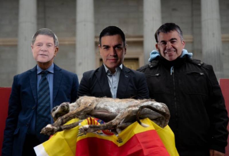 <span style='color:#780948'>ARCHIVED</span> - Same dogs, same law: animal rights activists in Spain protest with body of dead greyhound