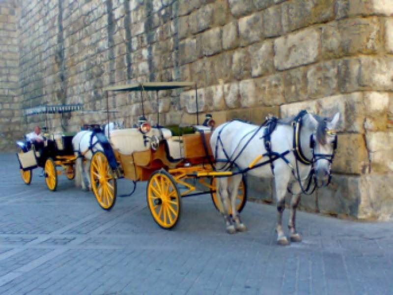 <span style='color:#780948'>ARCHIVED</span> - The end of horse-drawn tourist carriages in Spain?