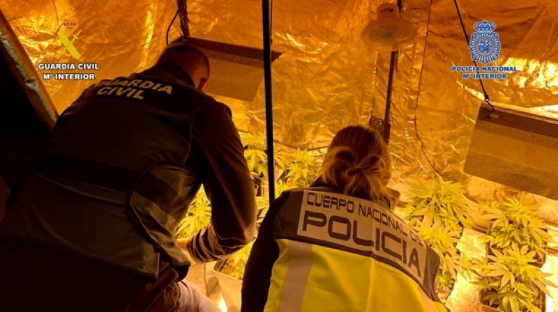 <span style='color:#780948'>ARCHIVED</span> - Family squatting in luxury Alicante villa arrested for growing cannabis and trafficking cocaine