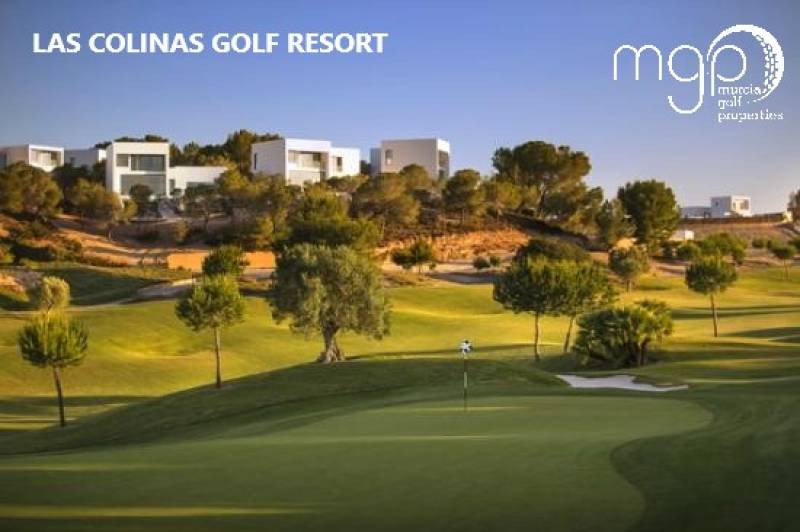 Murcia Golf Properties: leading Murcia estate agency specialising in golf resort property and new build sales