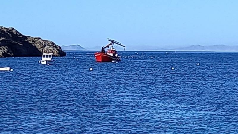 <span style='color:#780948'>ARCHIVED</span> - Illegal boat mooring site dismantled in La Azohia