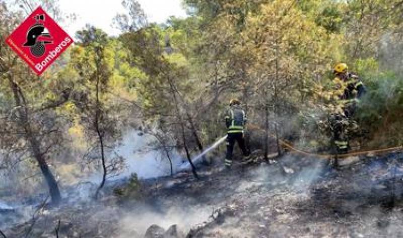 <span style='color:#780948'>ARCHIVED</span> - Arsonist behind fires at protected Serra Gelada natural site in Benidorm faces 4 years in prison