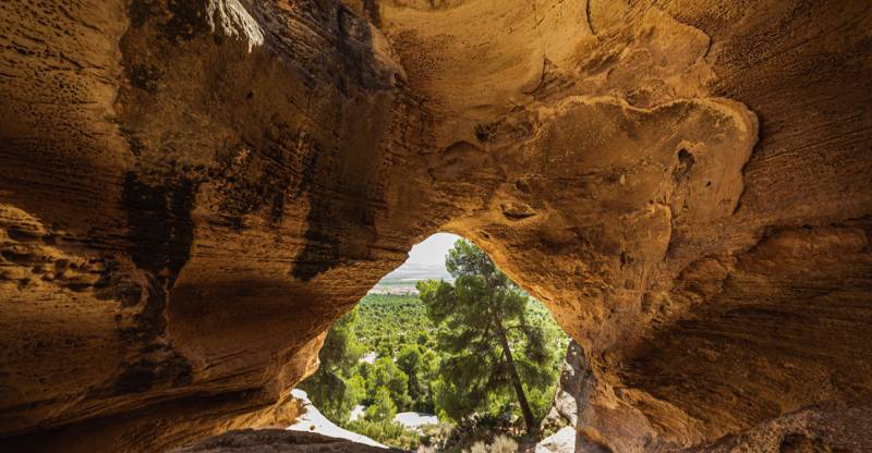 Until May 31 Fund-raising walking route in the regional park of Monte Arabi in Yecla