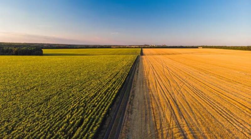 The foods that could rise in price this summer because of the drought in Spain