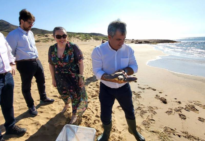 Loggerhead turtle released on Calblanque beach, Murcia