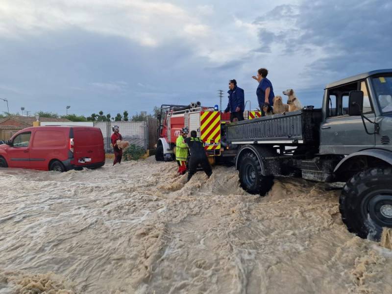 Dramatic videos show cars, babies and dogs almost washed away by Spain flash floods