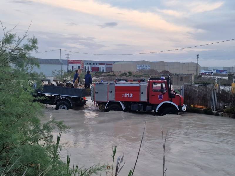 Dramatic videos show cars, babies and dogs almost washed away by Spain flash floods