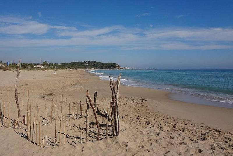 Investigation continues into the decapitated baby washed up on a beach in Catalonia