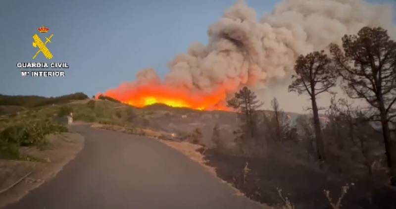 WATCH: Thousands evacuated as wildfires rage through the Canary Islands
