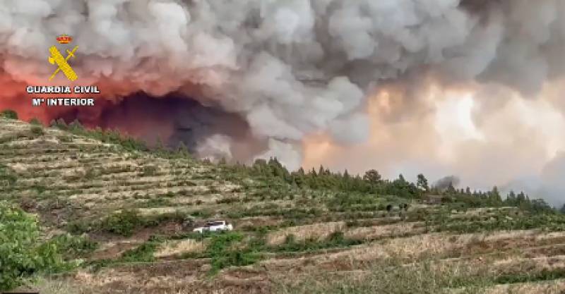 WATCH: Thousands evacuated as wildfires rage through the Canary Islands