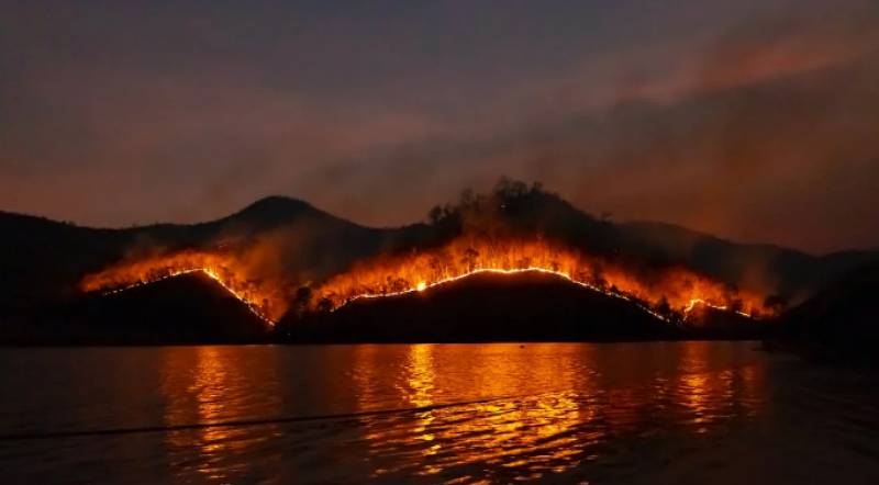 Five villages in Tenerife evacuated as wildfire rages through the island
