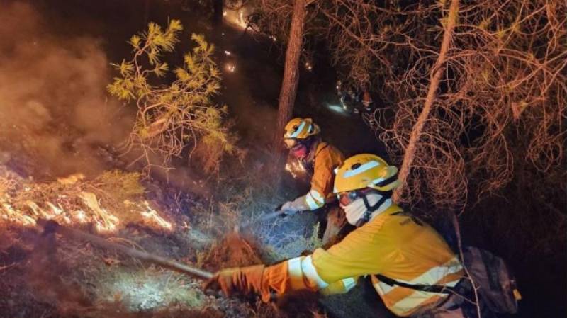 WATCH: Wildfire tears through El Valle regional park
