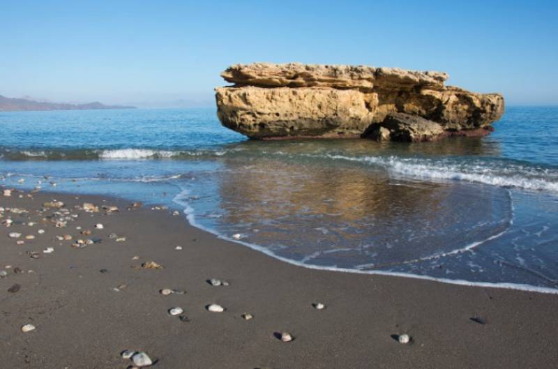 What’s on in Aguilas November 2023