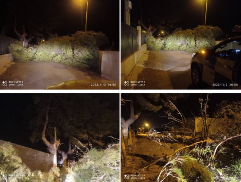 Storm Ciaran causes mass destruction across the Region of Murcia