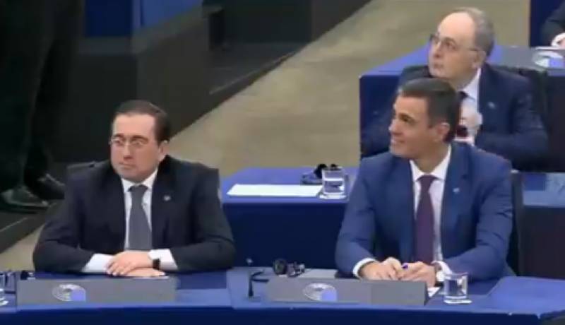 WATCH: Barking mystery dog overshadows Spanish President in European Parliament