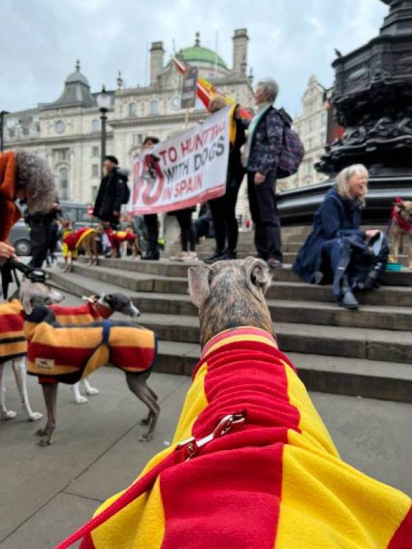 London joins Spain in protests against hunting with dogs