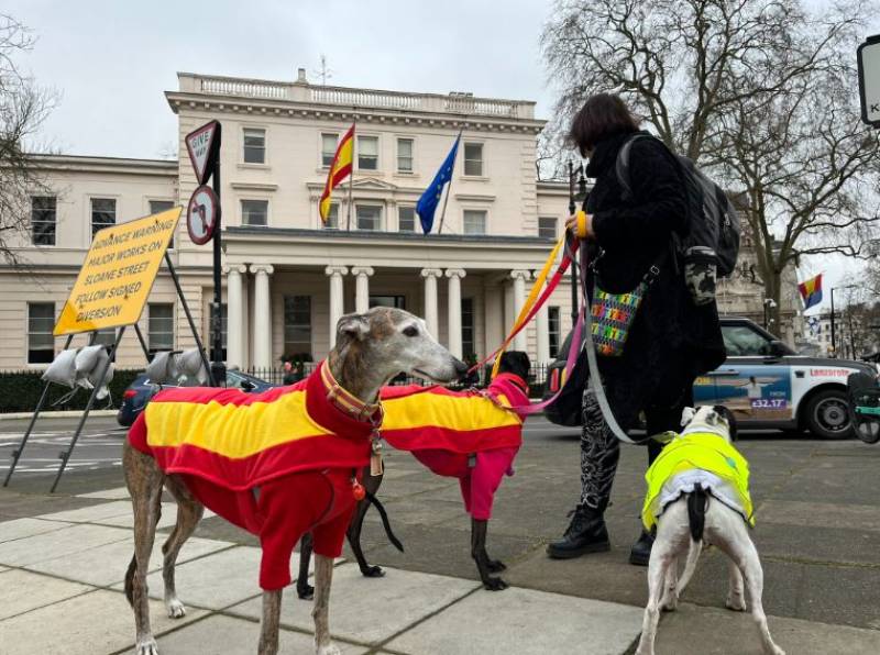 London joins Spain in protests against hunting with dogs