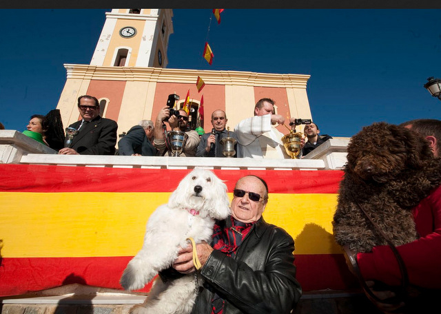 San Antón in the Murcia Region on 17th January