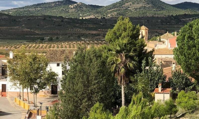 January 26 Mountain walk and gastronomic tasting in Coy on the high plateau of northern Lorca